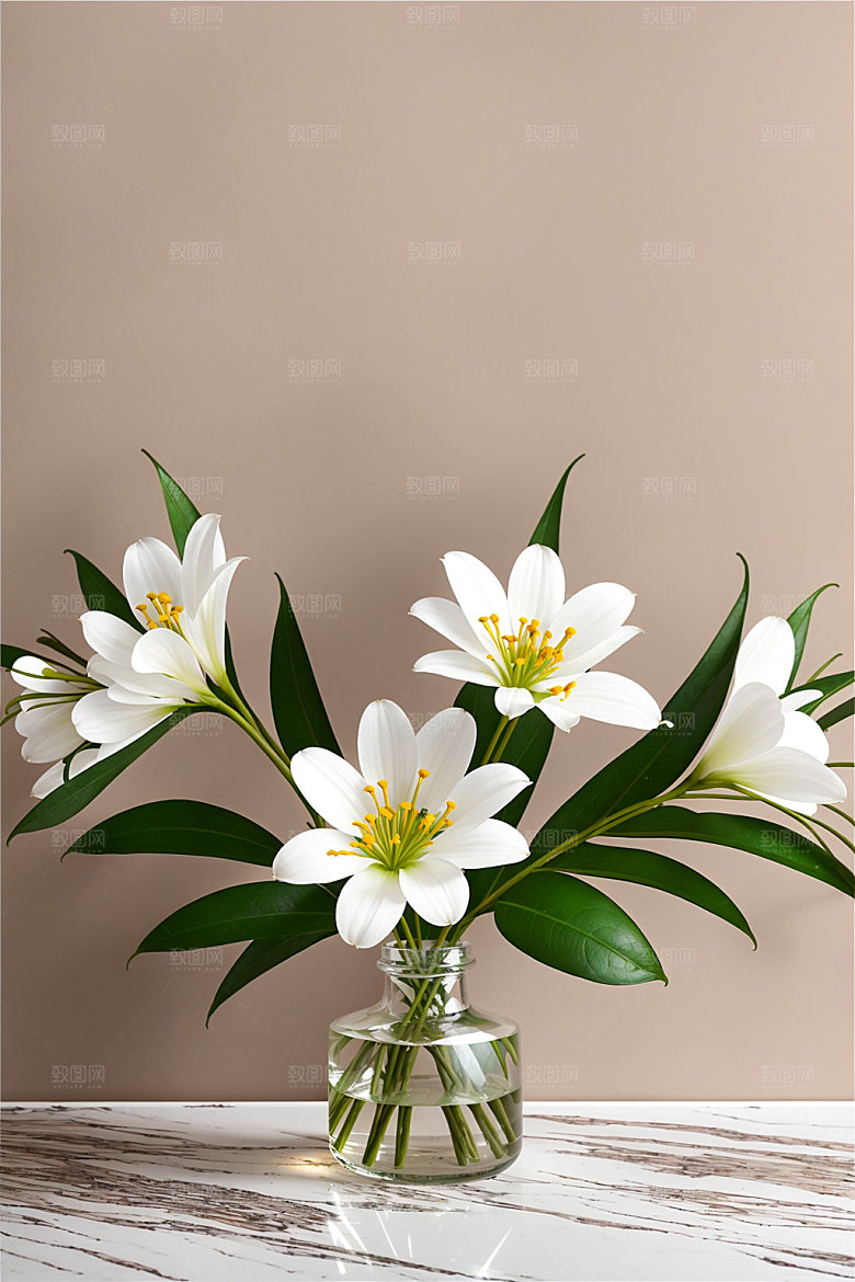 家居花瓶插画鲜切花摄影图