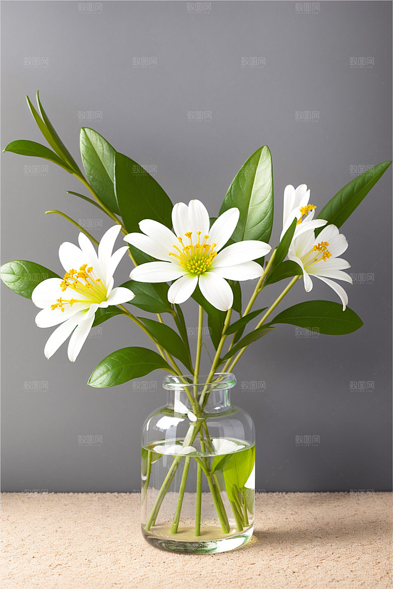 家居花瓶布置插画摄影图