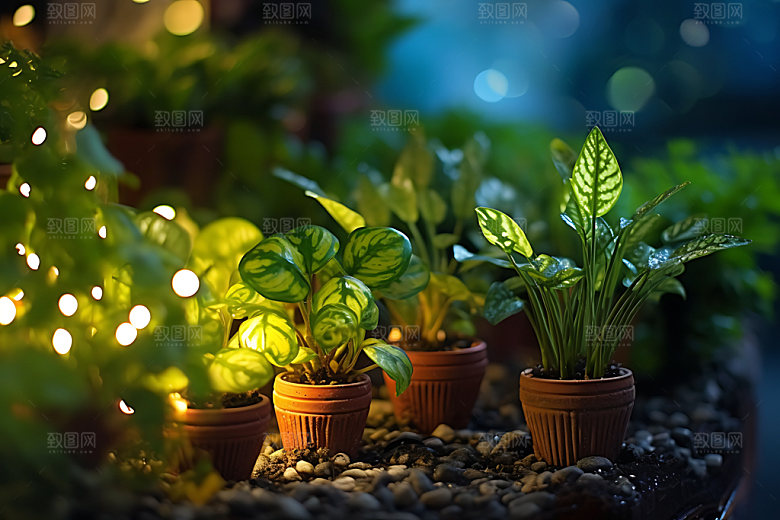 花草花园绿植园艺摄影图