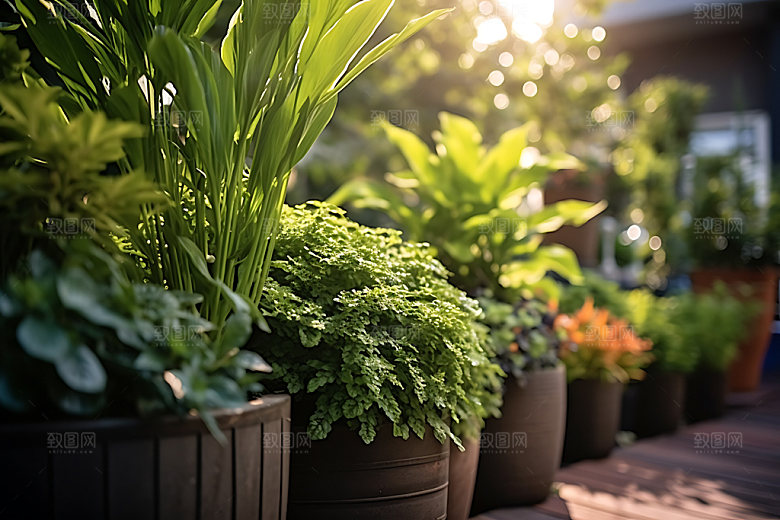 花草绿色花园绿植摄影图