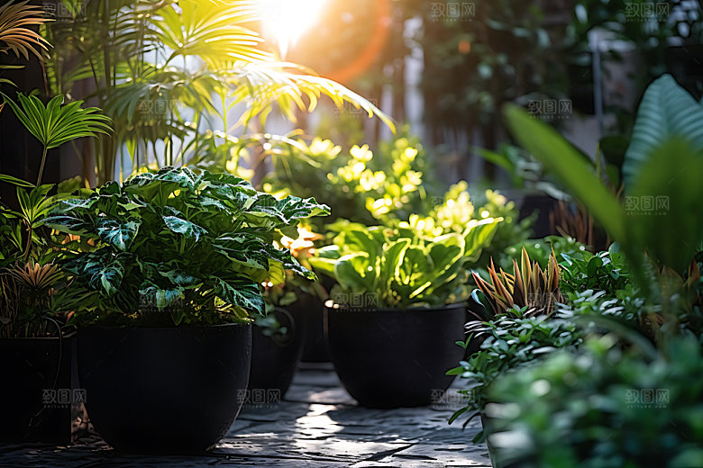 花草花园绿植绿色摄影图
