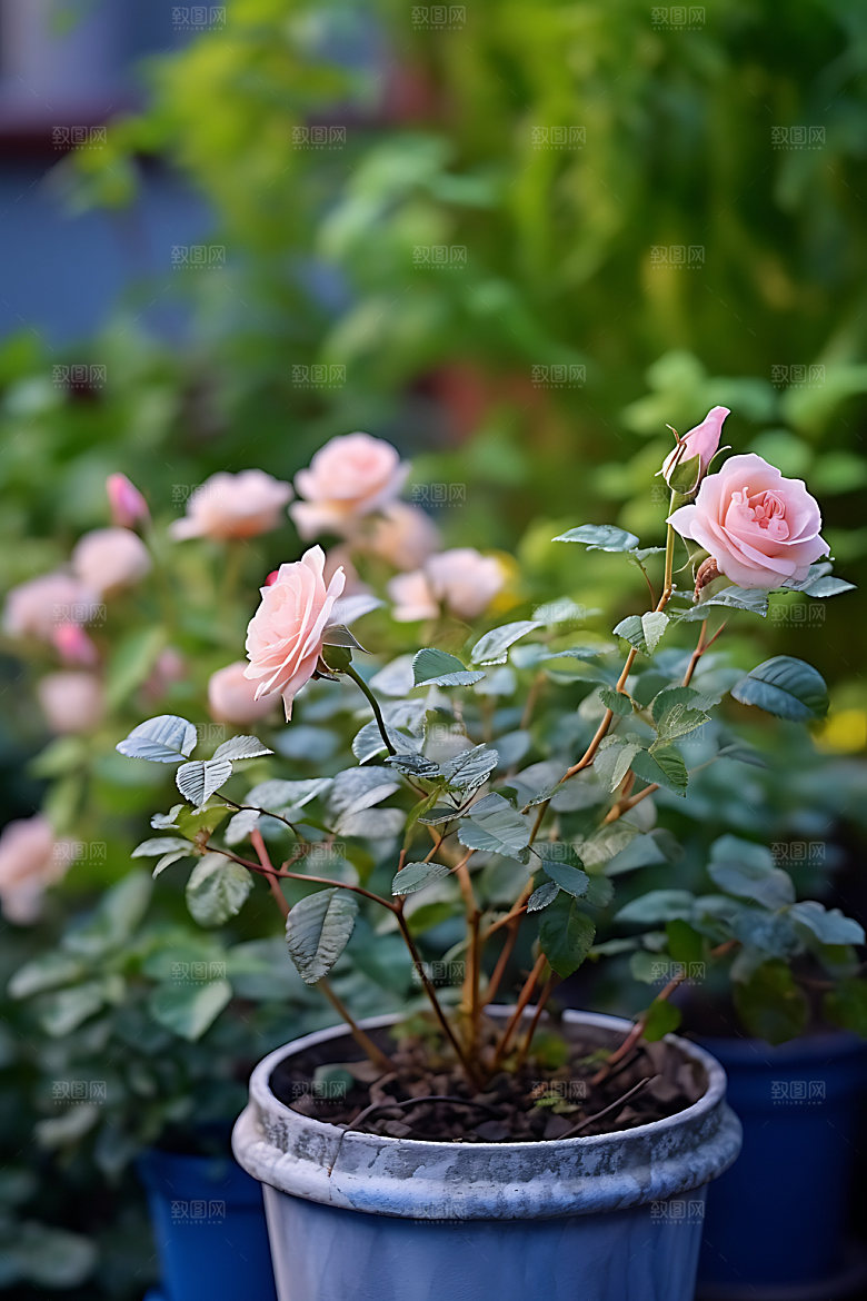 花草绿色花园绿植摄影图