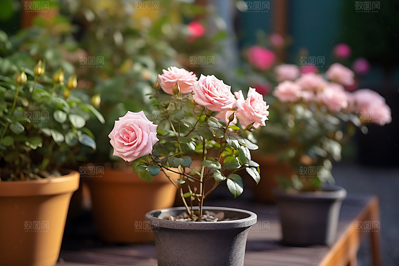 花草绿色自然摄影图