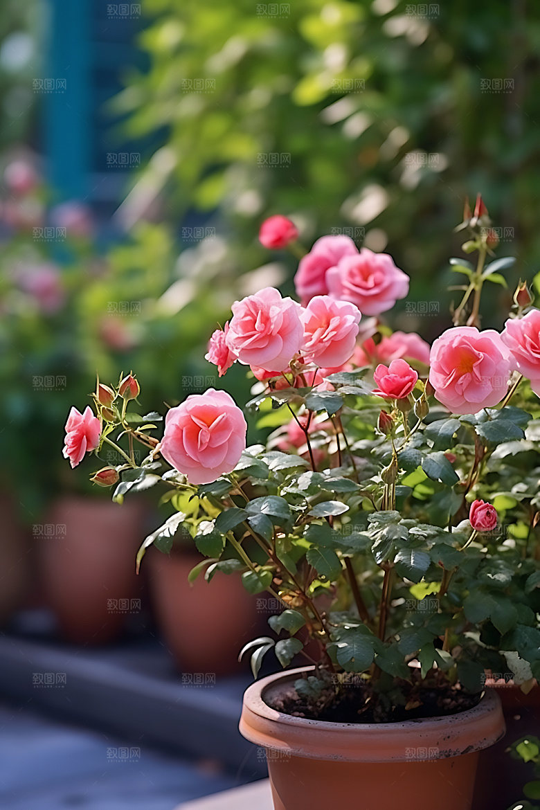 花草花园绿植绿色摄影图