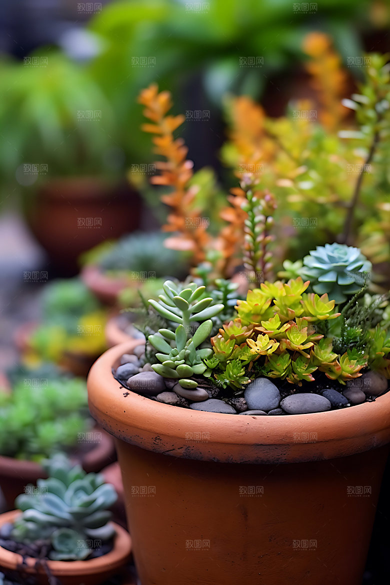 花草花园绿植园艺摄影图