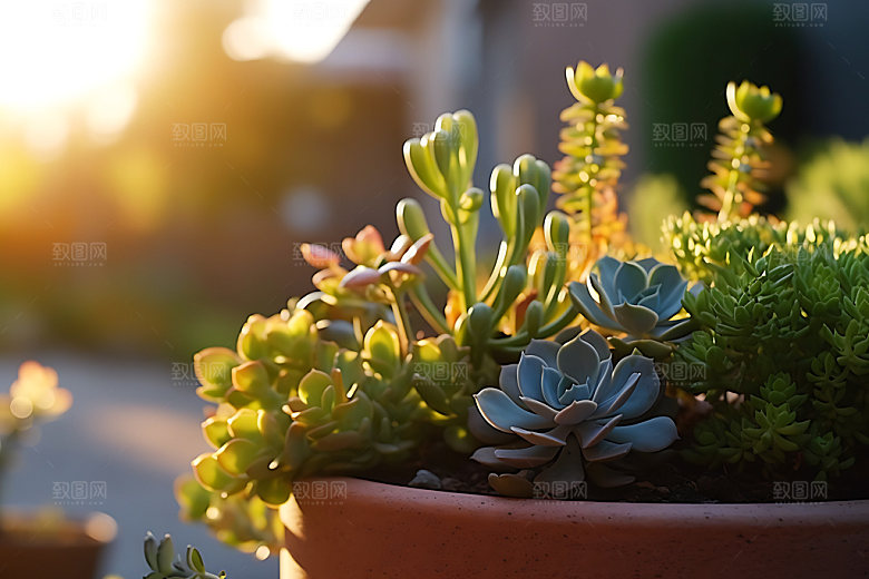 花草清新自然摄影图