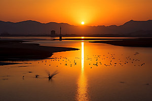 鄱阳湖自然风光摄影图