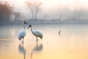 鄱阳湖高清自然摄影图