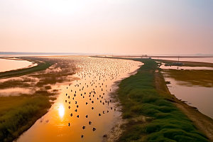 鄱阳湖风景自然摄影图