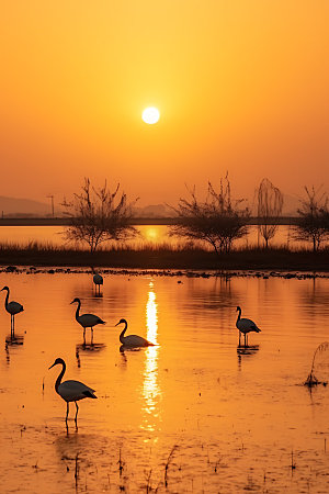 鄱阳湖高清旅游摄影图