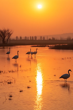 鄱阳湖风景高清摄影图