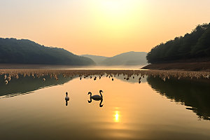 鄱阳湖自然湖泊摄影图