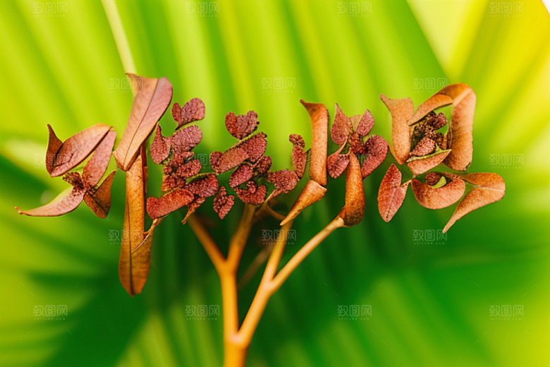 教师节创意标语艺术字