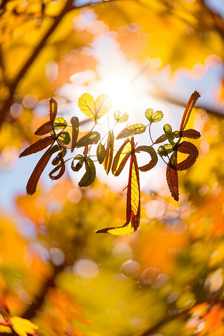 教师节3D难忘师恩艺术字