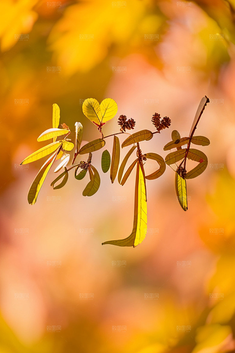 教师节立体字祝福语艺术字