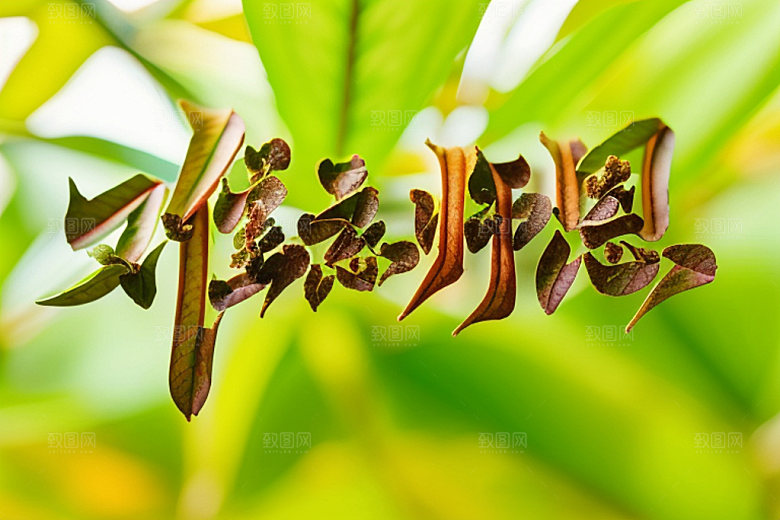 教师节感恩3D艺术字