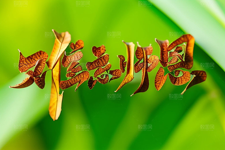 教师节难忘师恩感恩艺术字