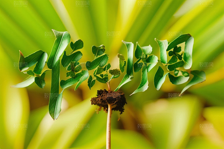 教师节标语祝福语艺术字