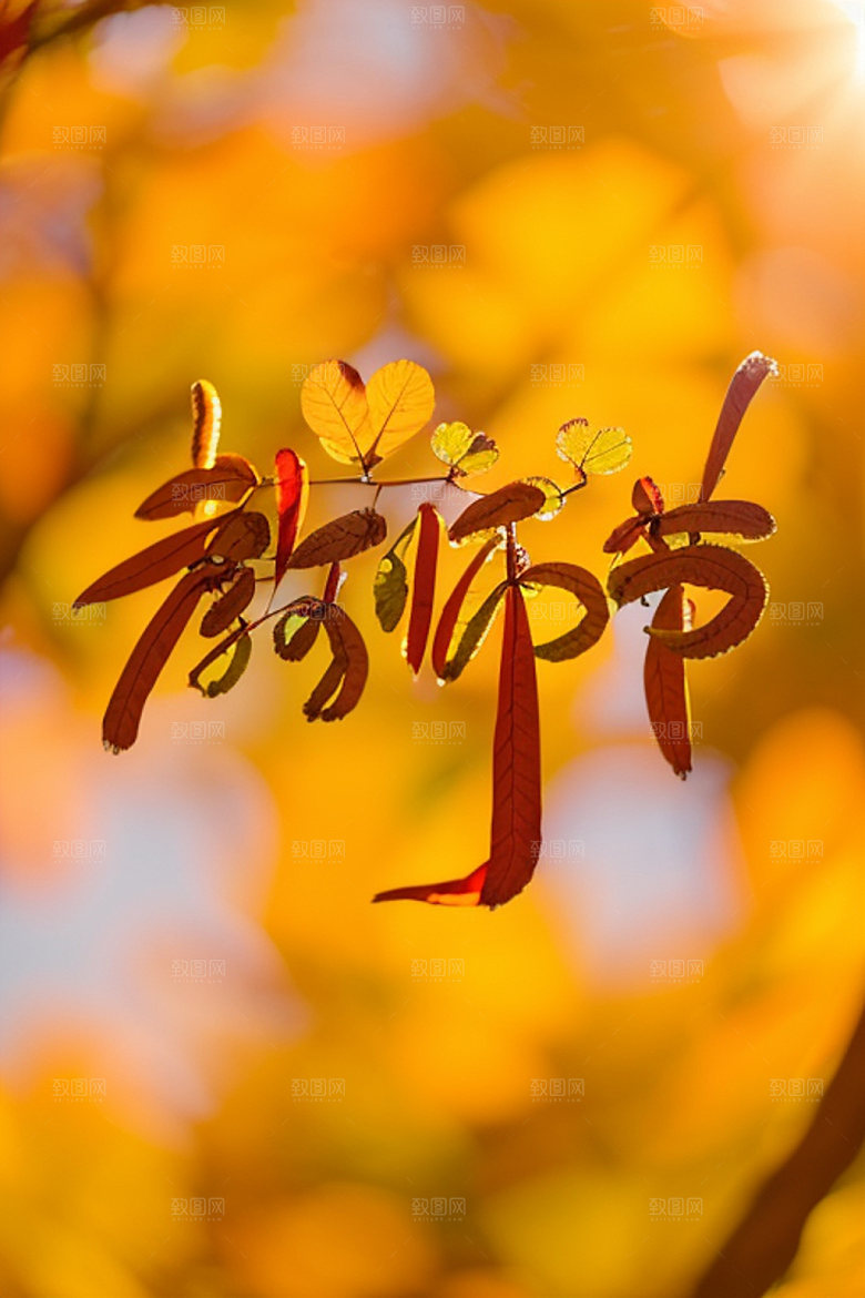 教师节标题3D艺术字
