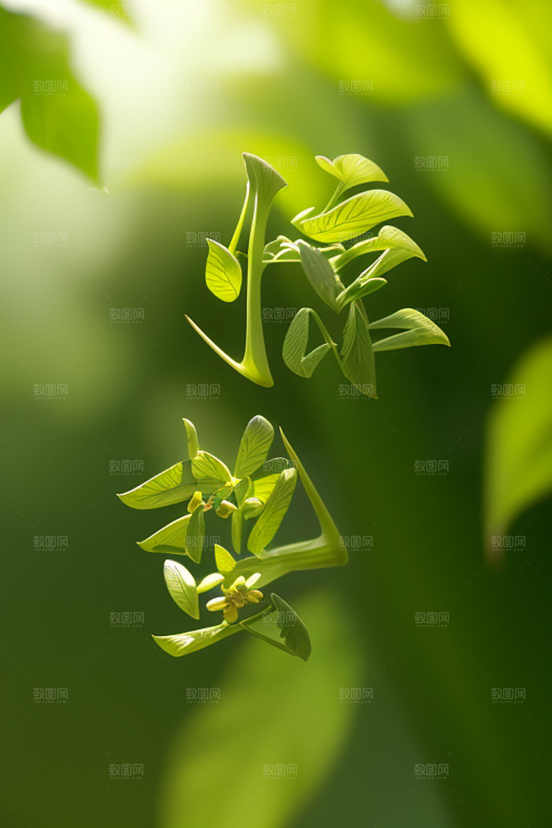 二十四节气创意中国风艺术字