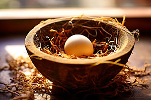 鸡蛋农场鸟窝摄影图