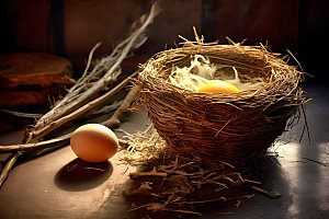 鸡蛋鸟蛋农场摄影图