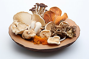 菌菇拼盘蘑菇高清摄影图