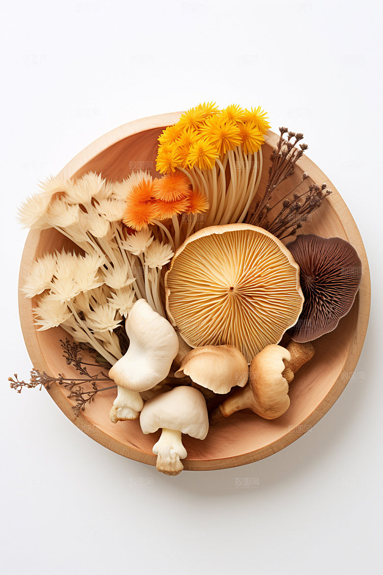 菌菇拼盘火锅食材蘑菇摄影图