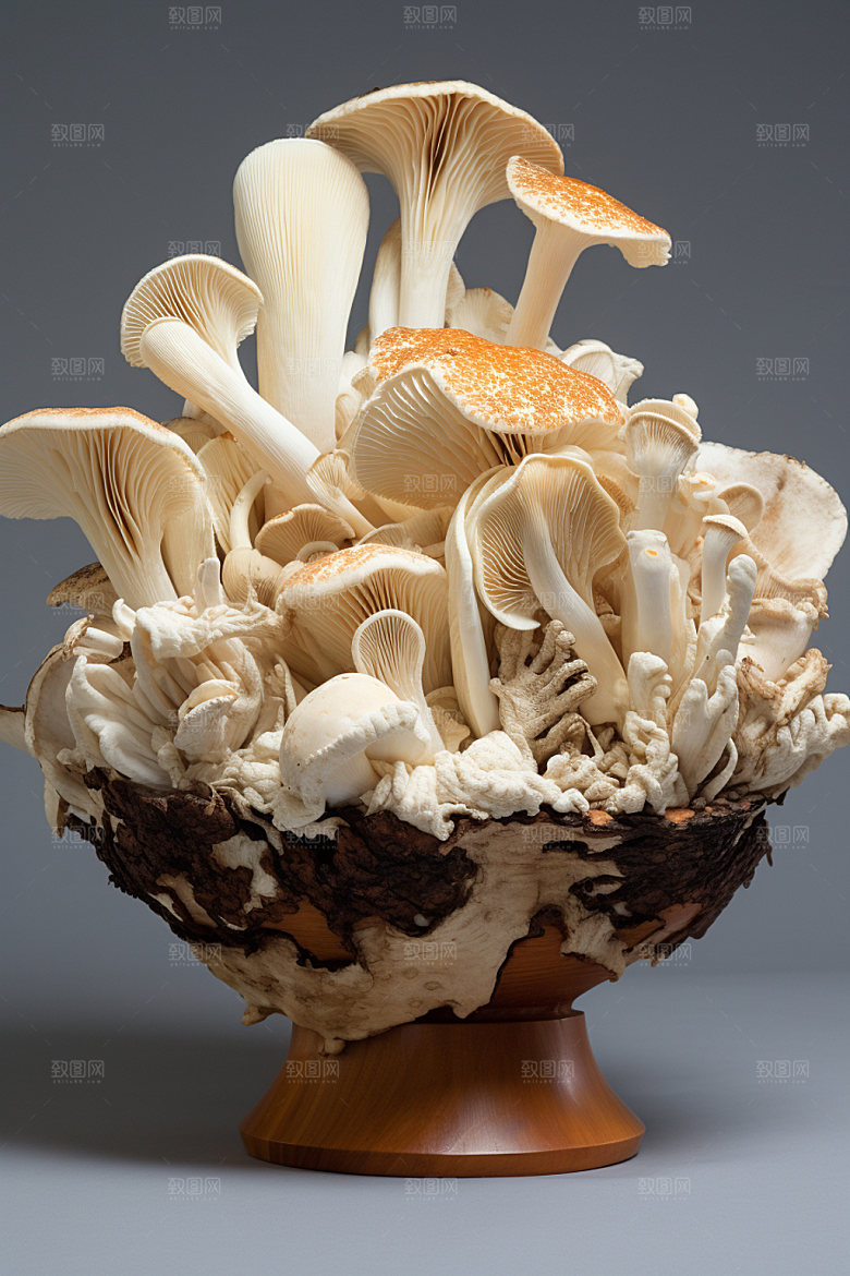 菌菇拼盘高清蘑菇摄影图