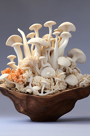 菌菇拼盘蔬菜蘑菇摄影图
