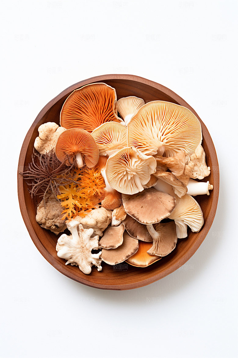 菌菇拼盘山珍高清摄影图