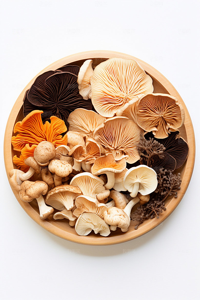 菌菇拼盘火锅食材山珍摄影图