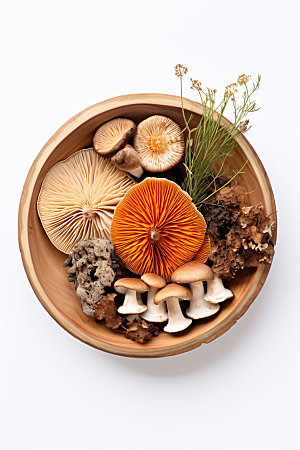 菌菇拼盘山珍火锅食材摄影图