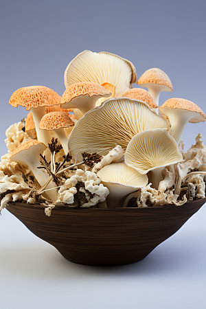 菌菇拼盘蘑菇火锅食材摄影图