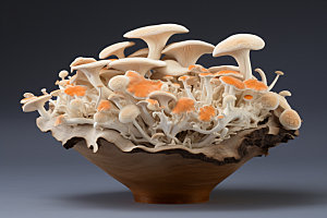 菌菇拼盘素菜山珍摄影图