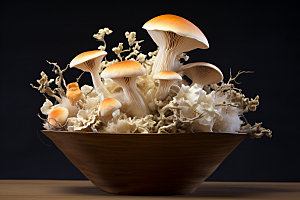 菌菇拼盘火锅食材蘑菇摄影图