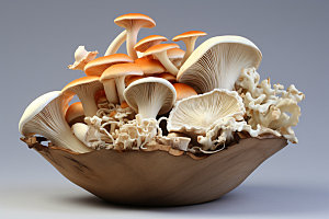 菌菇拼盘野味素菜摄影图