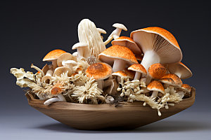 菌菇拼盘高清山珍摄影图