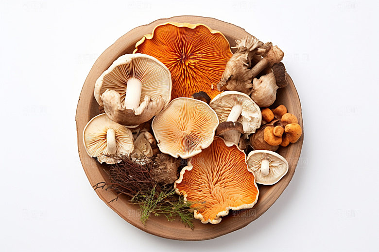 菌菇拼盘高清蘑菇摄影图