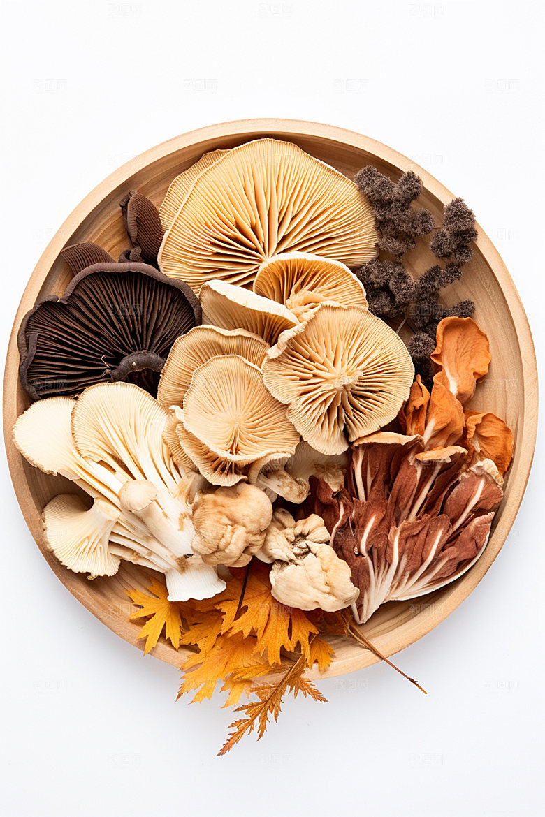 菌菇拼盘高清山珍摄影图