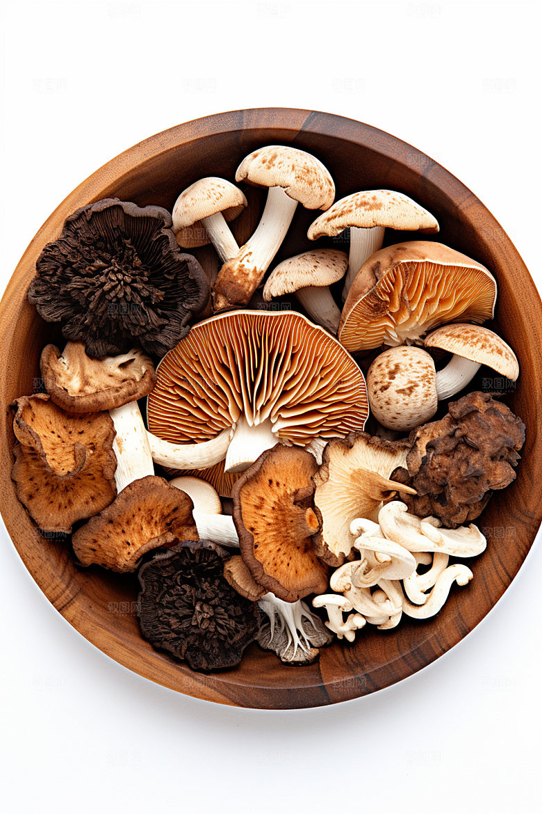 菌菇拼盘蘑菇山珍摄影图