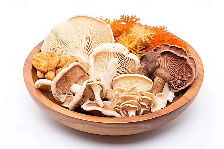 菌菇拼盘蘑菇高清摄影图
