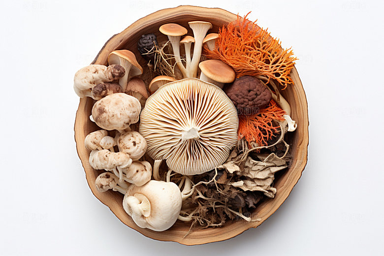 菌菇拼盘野味蔬菜摄影图