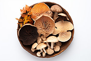 菌菇拼盘蘑菇野味摄影图