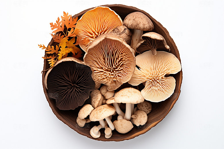 菌菇拼盘蘑菇野味摄影图