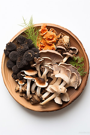菌菇拼盘素菜野味摄影图