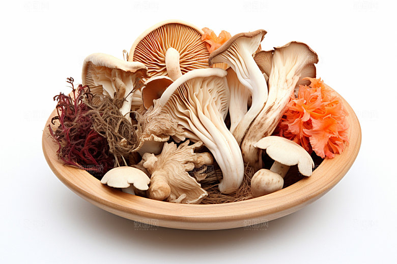 菌菇拼盘火锅食材野味摄影图