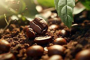 咖啡豆植物自然摄影图