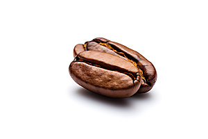 咖啡豆植物自然摄影图