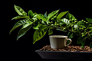 咖啡豆食材自然摄影图
